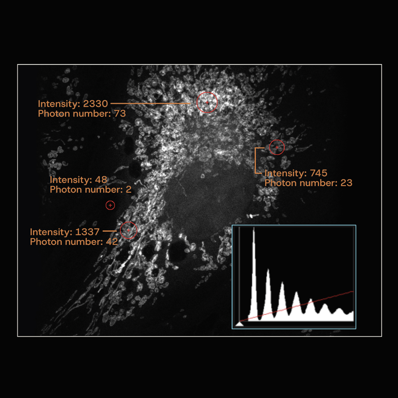 SilVIR detector technology. Histograms show discrete photon counts with quantifiable intensity and minimum background. 