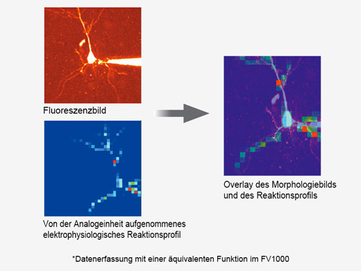 Optionale Funktionen für erweiterte Anwendungen