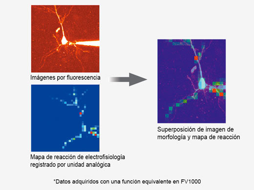 Características opcionales para aplicaciones avanzadas