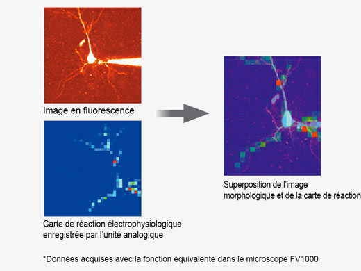Fonctions en option pour les applications avancées