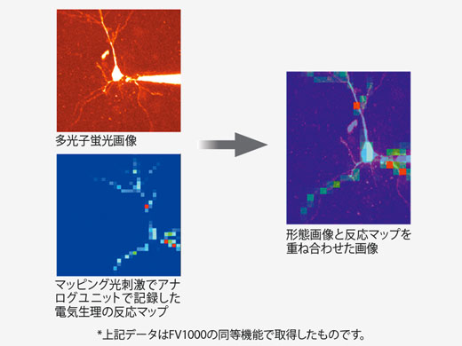 高度なアプリケーションに対応