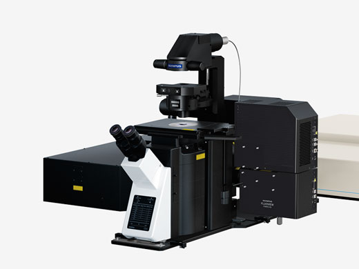 倒置显微镜系统—适用于观察组织培养、3D培养、细胞及细胞球培养
