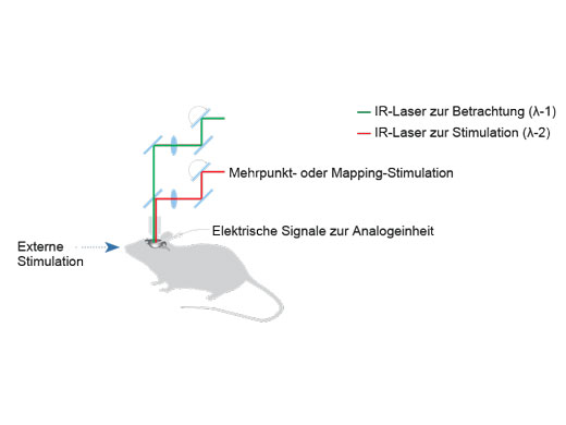 Mehrpunkt- oder Mapping-Stimulation
