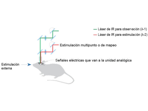 Estimulación multipunto o de mapeo