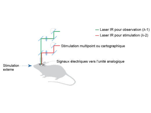 Stimulation multipoint ou cartographique