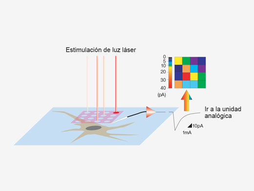 Mapas 3D de reacción por estimulación