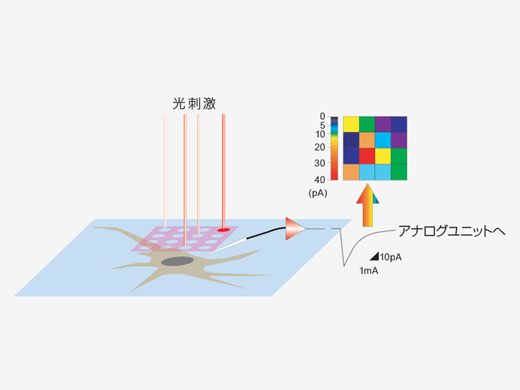 3次元リアクションマップの作製