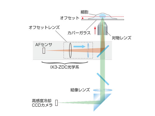  Z ドリフトコンペンセーター