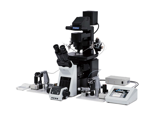 Imsi Microscope IX3-ICSI/IMSI | ICSI/IMSI平台 | 奥林巴斯生物显微镜