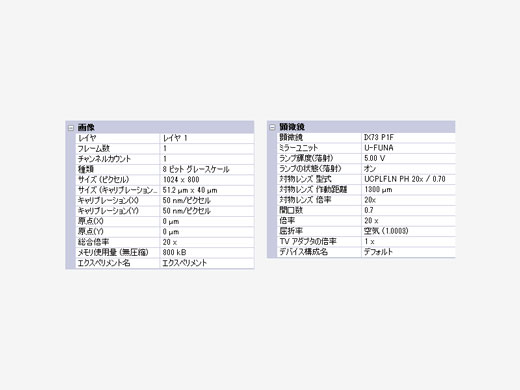 実験再現性の高いマニュアル顕微鏡