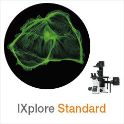 IXplore Standard