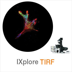 IXplore TIRF