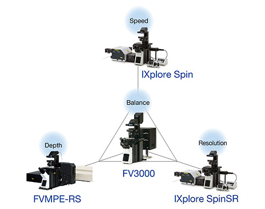 Works with Many Imaging Techniques