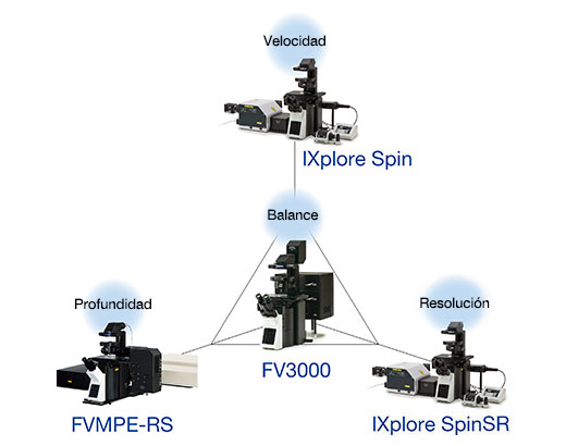Trabajo enriquecido por varias técnicas de imagen