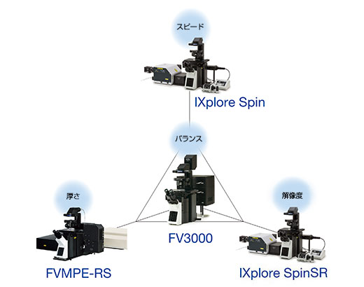 多様な観察手法と組み合わせた活用が可能