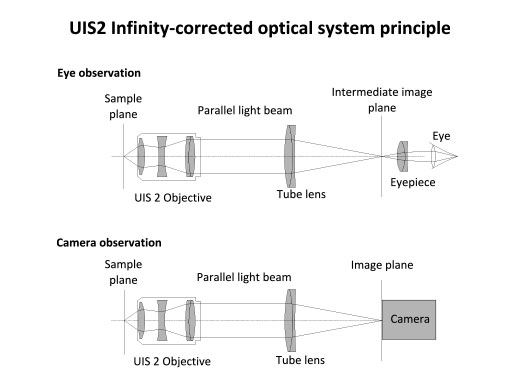 Infinity-Corrected Optics