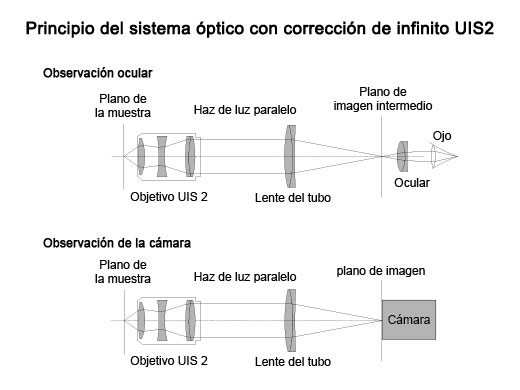 Óptica con corrección de infinito
