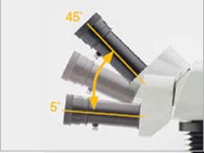 SZX16 - Observation Tube with Convergence Angle