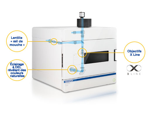 Scanner de lames Olympus VS200