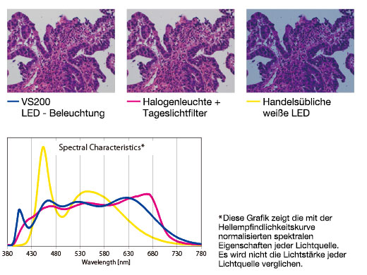Für Pathologie und Zytologie optimierte helle LED-Beleuchtung