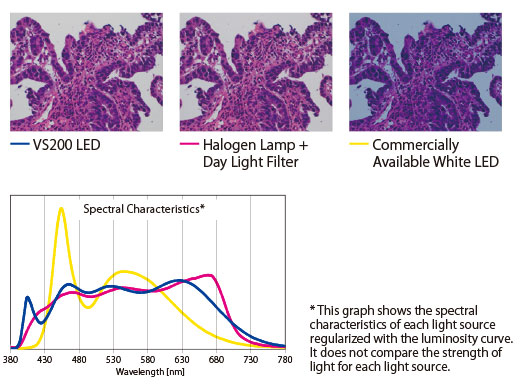 Bright LED Lighting Optimized for Pathology and Cytology