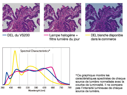 Éclairage à DEL lumineux optimisé pour la pathologie et la cytologie