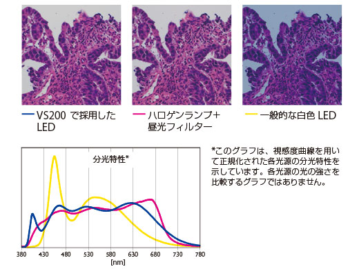 高演色LED光源がサンプルの色を忠実に再現