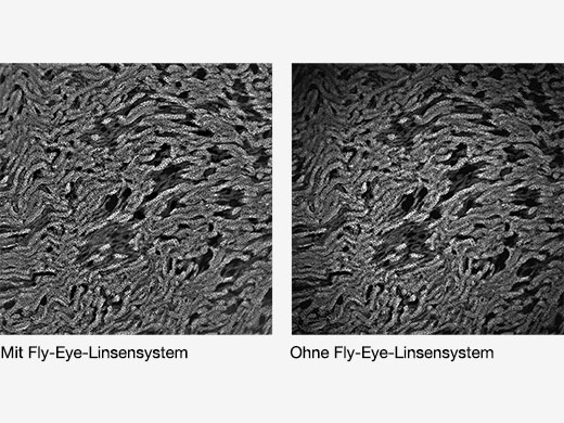 Bild mit und ohne Fly-Eye-Linse
