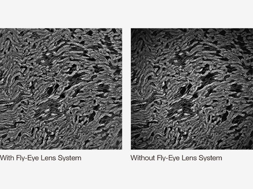 Comparison of with and without fly-eye len