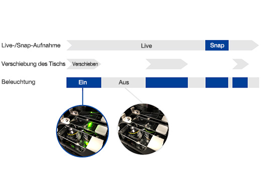 Modus zur Verhinderung von Photobleaching