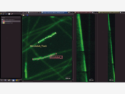 Kymograph