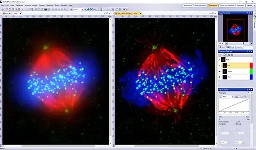 5D Experiment Acquisition