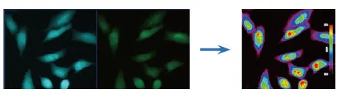 Intensity Measurement