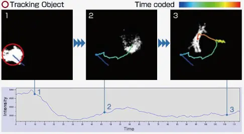Customizable User Interface