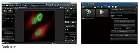Image Processing and Sharing