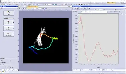 Customizable User Interface