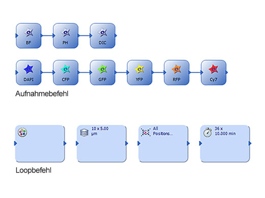 Graphical Experiment Manager (GEM)