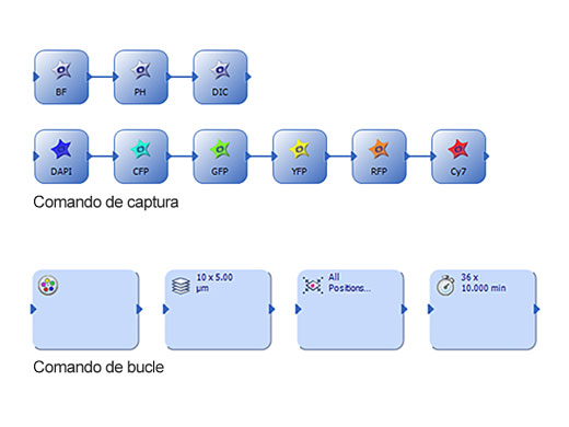 Administrador gráfico experimental (GEM)