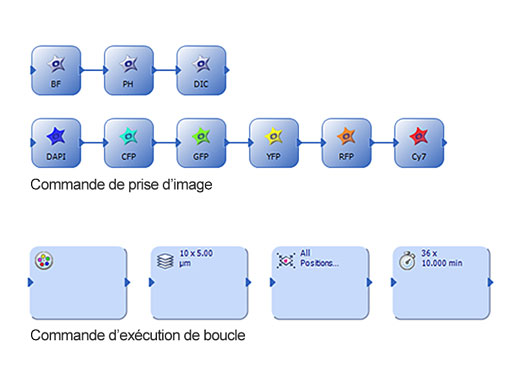 Graphical Experiment Manager (GEM)
