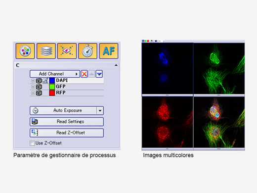 Outil Process Manager