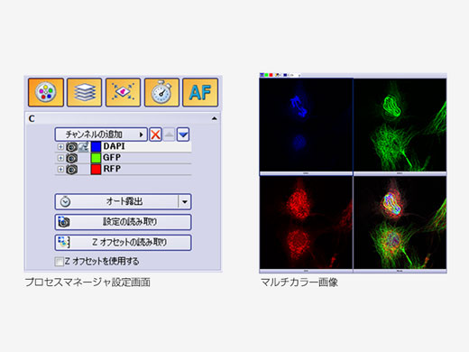 プロセスマネージャによる多次元画像の取得