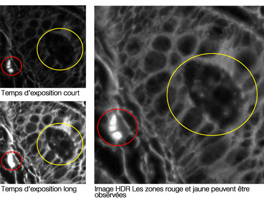 Acquisition d’images HDR