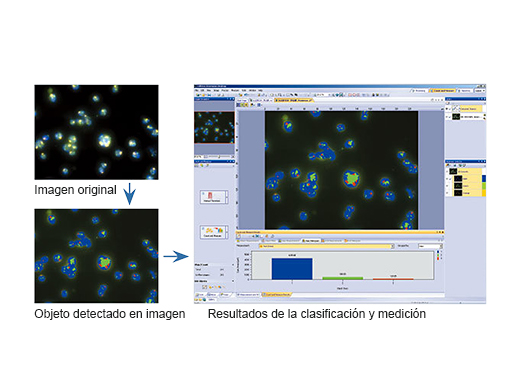 Recuento y medición de objeto