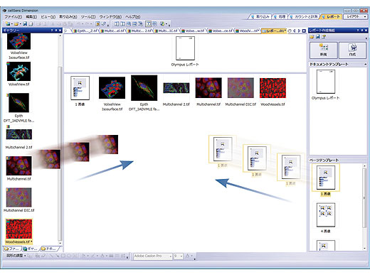 レポート出力機能