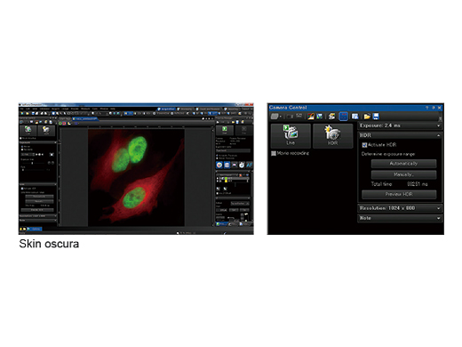 Skin oscura de aplicación