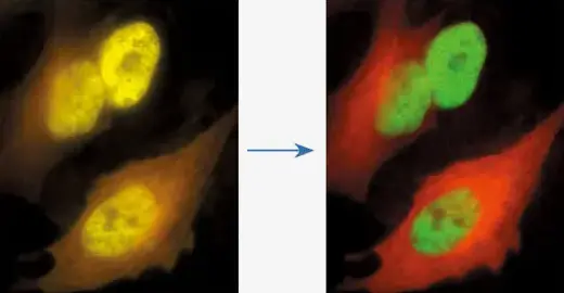 Powerful Analysis Tools