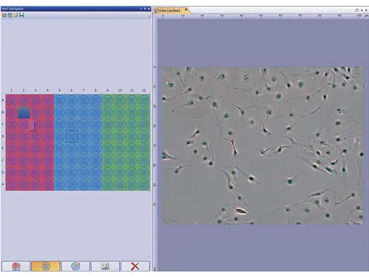 Well Plate Navigation