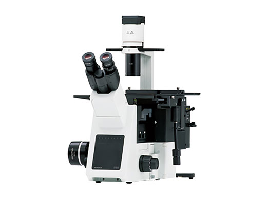 IX53 | 奥林巴斯生物显微镜