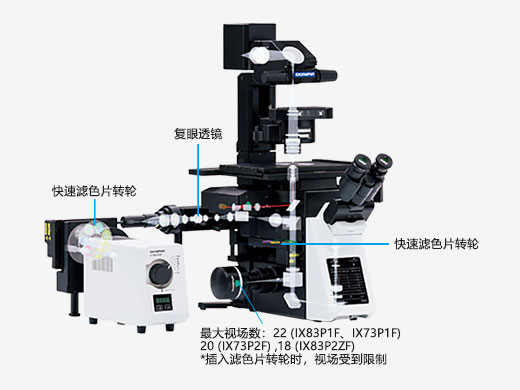 IX53 | 奥林巴斯生物显微镜