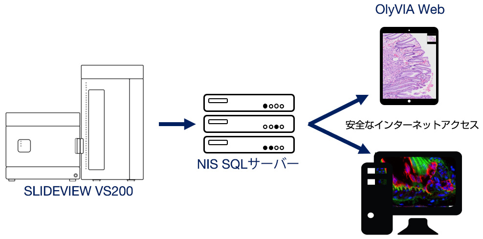 ホールスライドイメージング用のバーチャル顕微鏡データベース